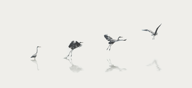 Evolve.png Evolve.png